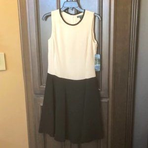 Lauren Ralph Lauren Color Block Sleeveless Dress